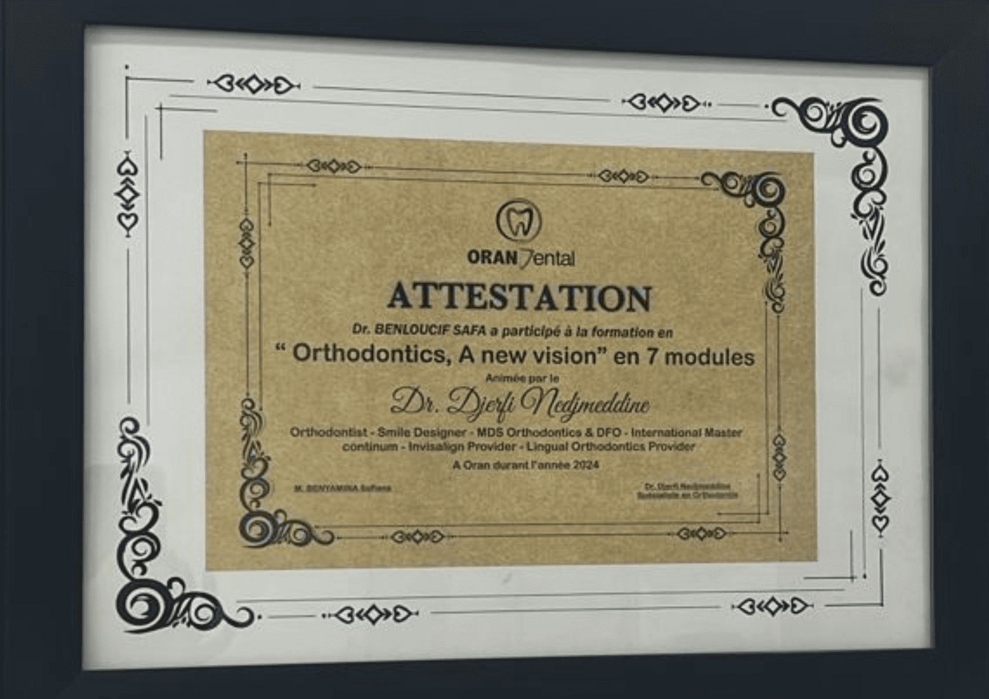 Formation en orthodontie – New Vision avec Dr Djerfi Nedjmeddine – Oran - 2024